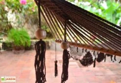 Hamac En Coton Tissé à La Main 100 X 237 Cm - Granada L 5 Hamac En Coton Tissé à La Main 100 X 237 Cm - Granada L -Solid || Mikado || Hevea Soldes Boutique detail toile hamac coton granada