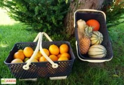 Paniers De Récolte Kajo 15L - 48 X 29 X 20 Cm (lot De 2) -Solid || Mikado || Hevea Soldes Boutique panier recolte kajo 15 jaune pastel