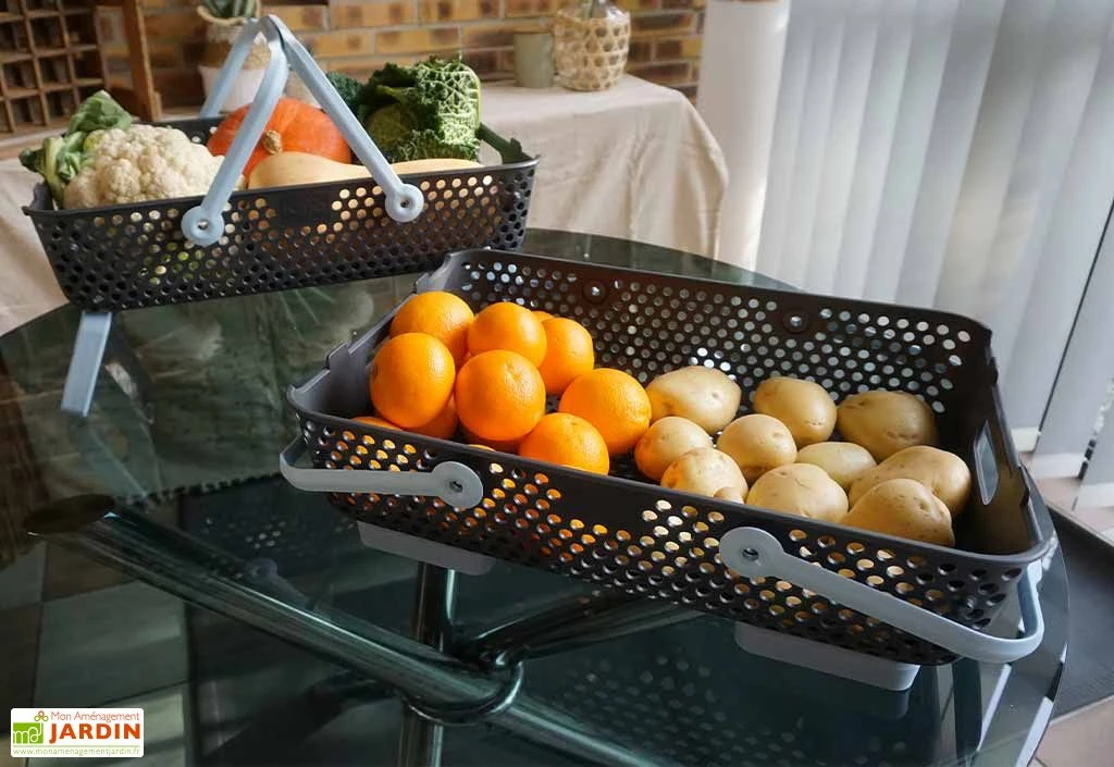 Paniers De Récolte Kajo 20L – 58 X 38 X 15 Cm (lot De 2) 1 Paniers De Récolte Kajo 20L – 58 X 38 X 15 Cm (lot De 2)