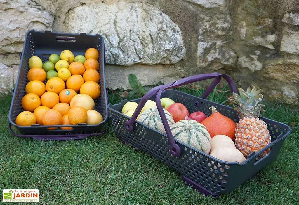 Paniers De Récolte Kajo 20L – 58 X 38 X 15 Cm (lot De 2) 5 Paniers De Récolte Kajo 20L – 58 X 38 X 15 Cm (lot De 2) – Image 5