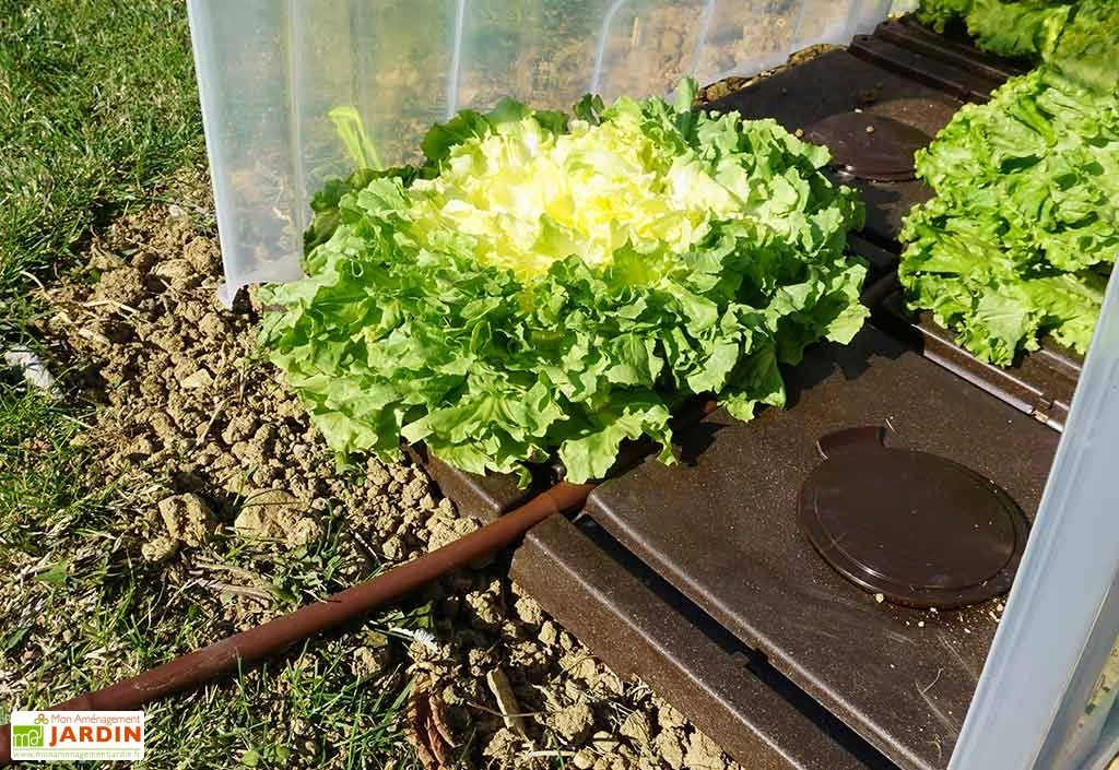 Plaques De Culture Et De Paillage Rigides Modul’oplak (lot De 6) 2 Plaques De Culture Et De Paillage Rigides Modul’oplak (lot De 6) – Image 2